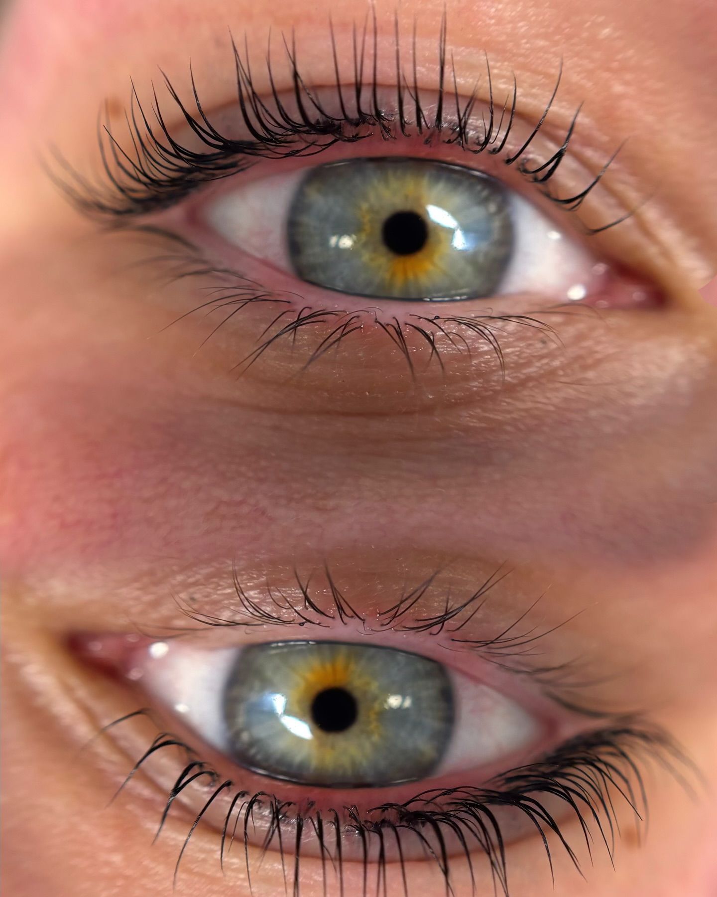 Lashlift: boven na, onder voor de behandeling