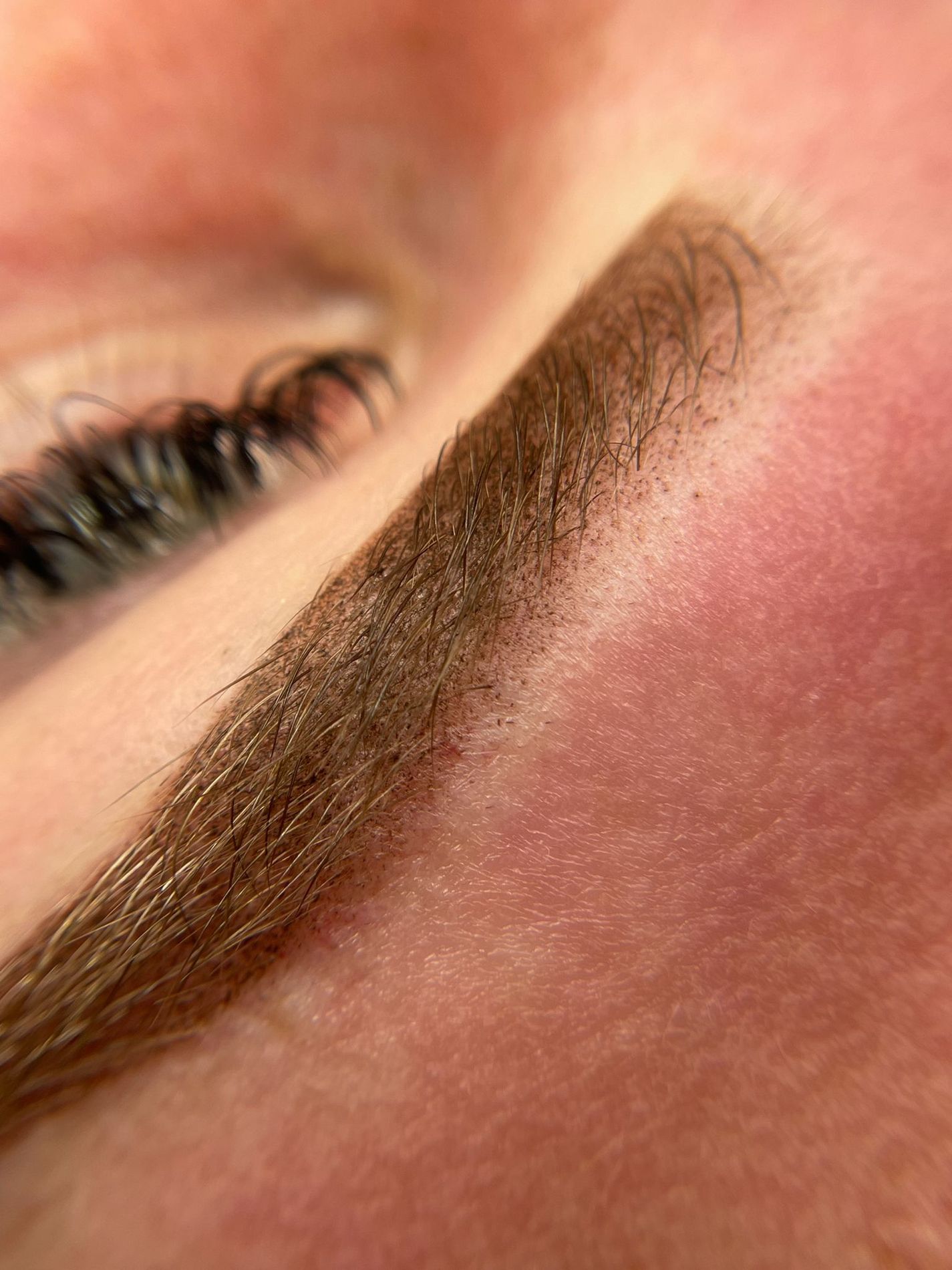 Close-up van powderbrows